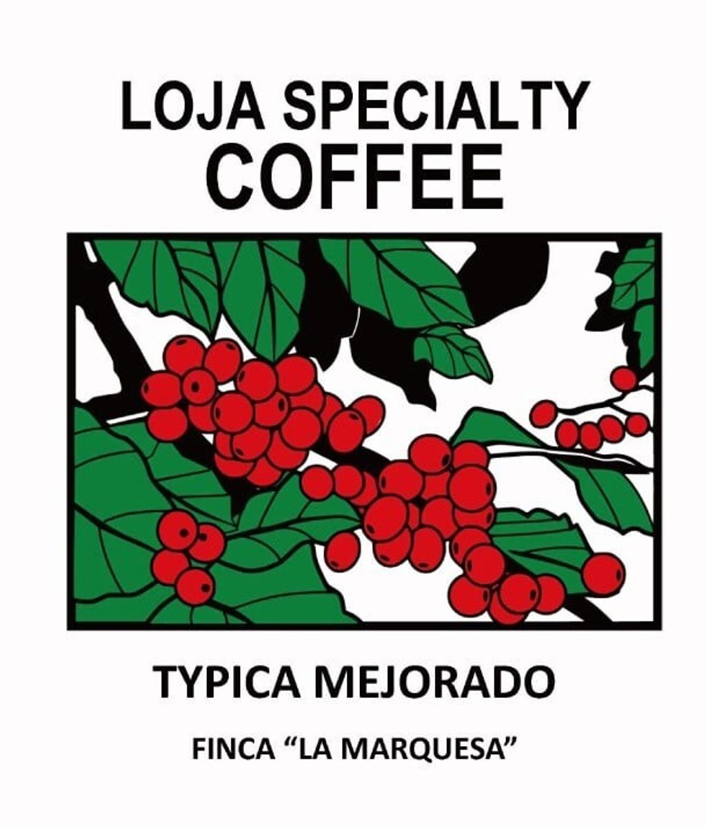 Typica-Mejorado-1