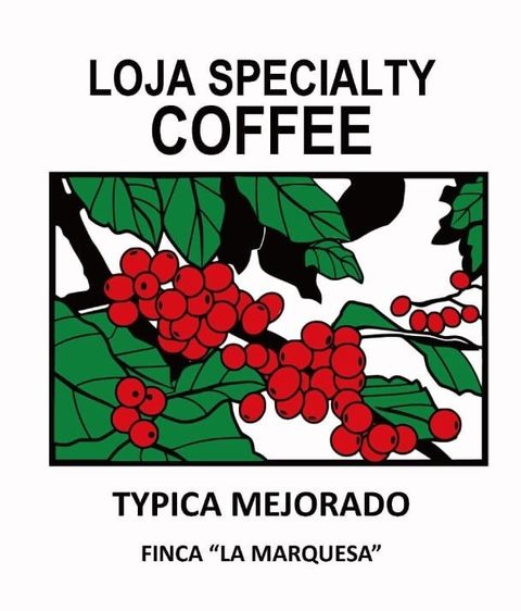Typica-Mejorado-1