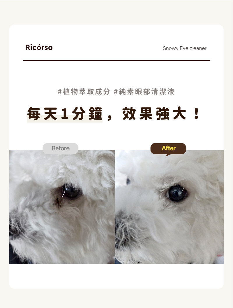 Ricorso_Snowy04