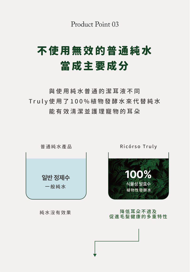 Ricorso_Truly_08 介紹3