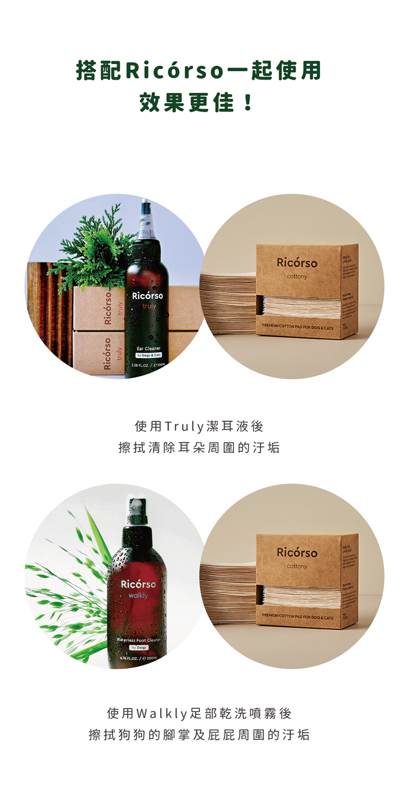 Ricorso_Cottony_09 介紹6