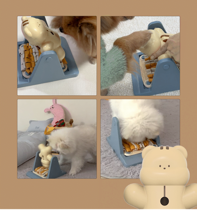 202502061945061468890025