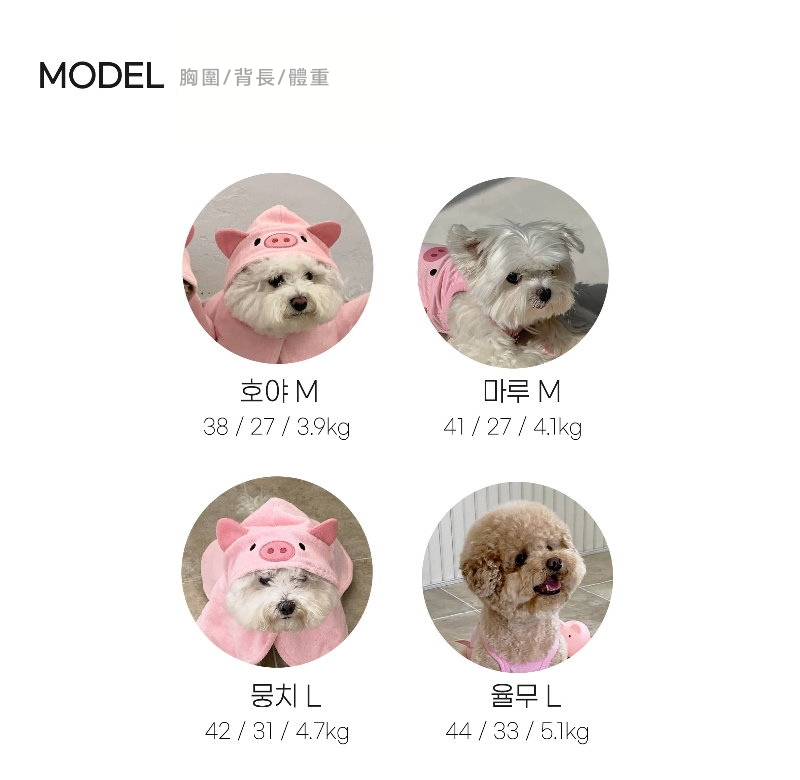 PIGMODEL