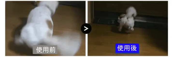 original-2.gif (2)