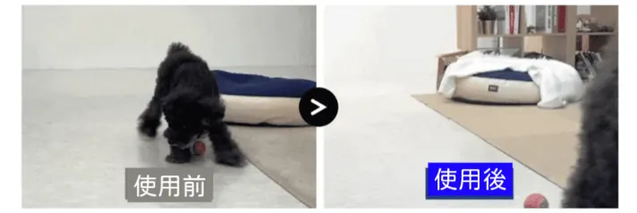 original-2.gif (1)