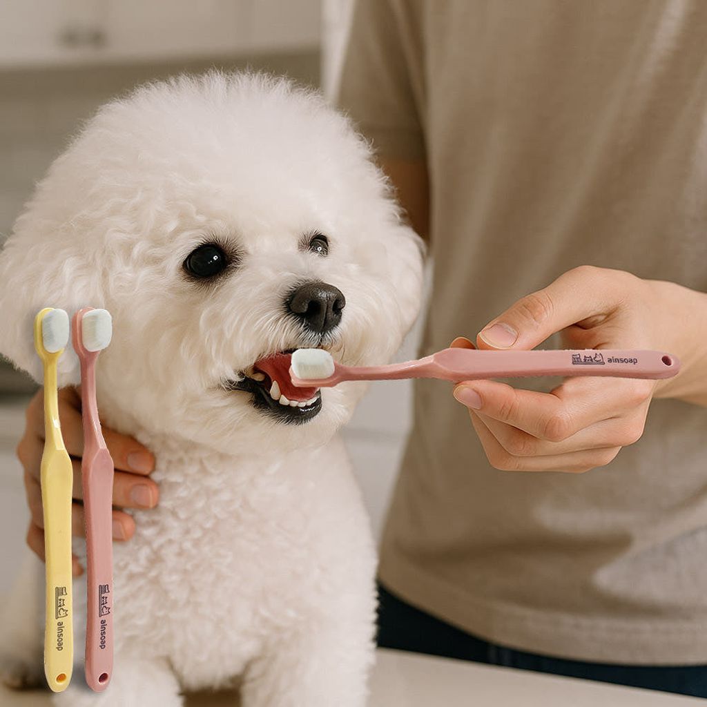 47343308715239438_116530557