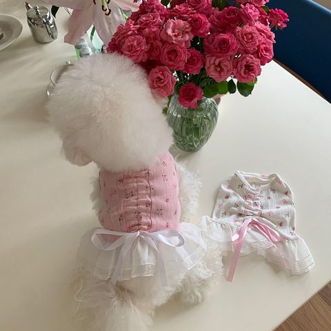 2fc3bba8f5c0254bea63fde2d870a44f