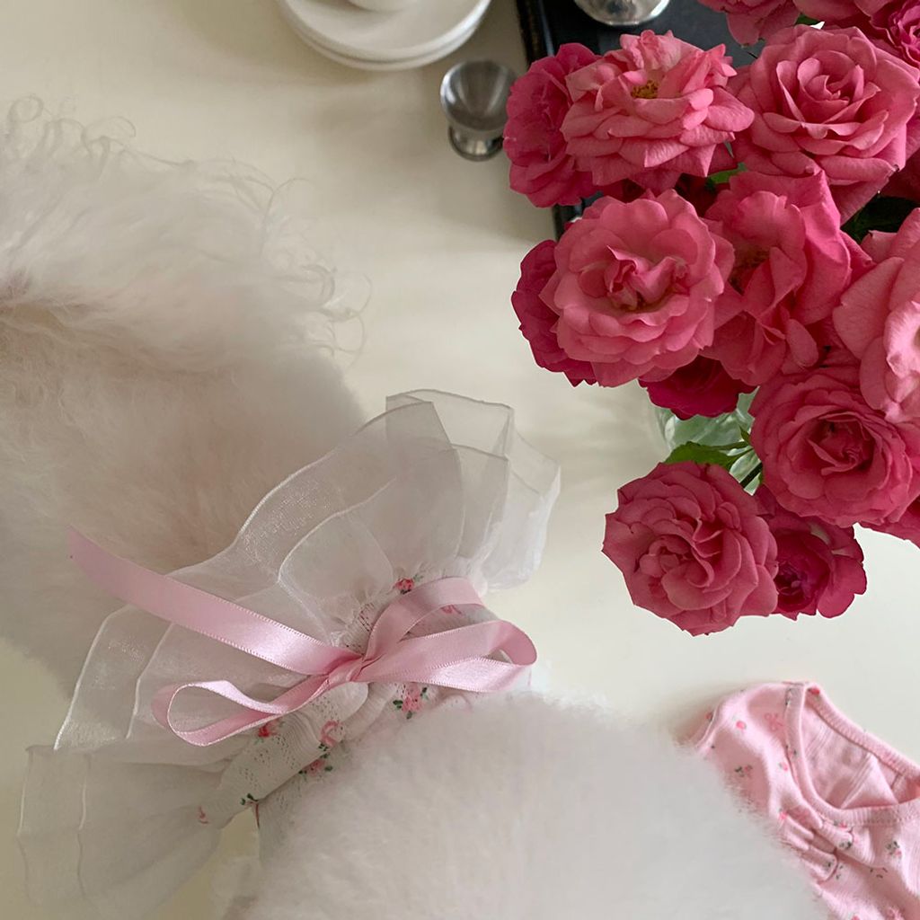 d77a5f775c9ca3f5de7dedff3595454b