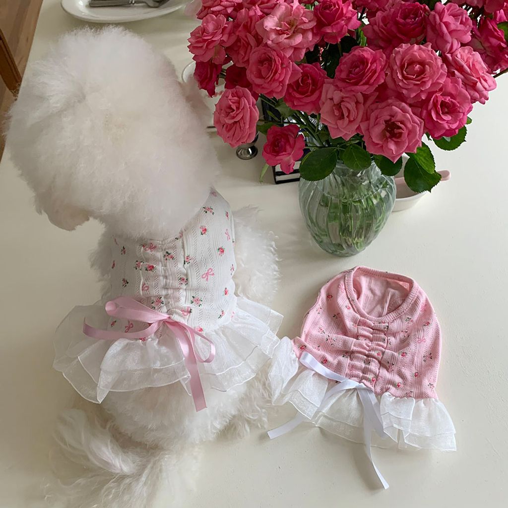 456e37bce0c8adafac93f4e150580c2b