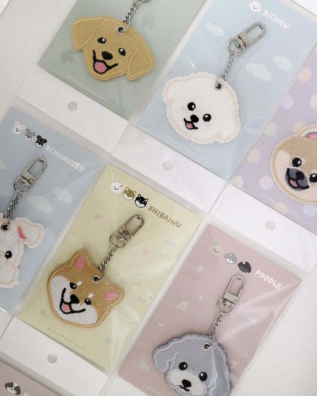 SaveClip.App_652769585_18308896762279815_8659510630296470449_n