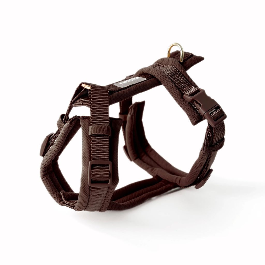 BROWN1