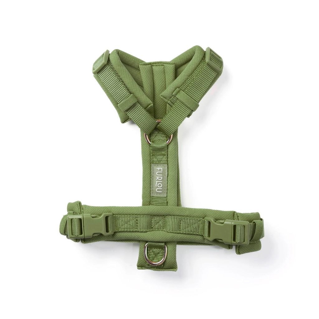 GREEN2