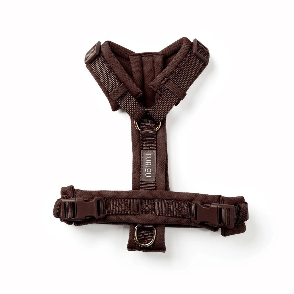 BROWN2