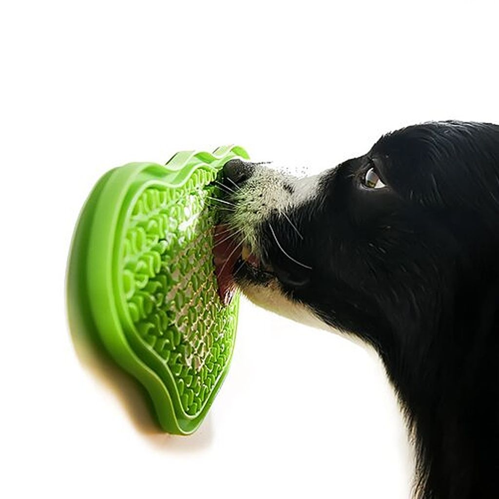 rsz_dog (1)_4
