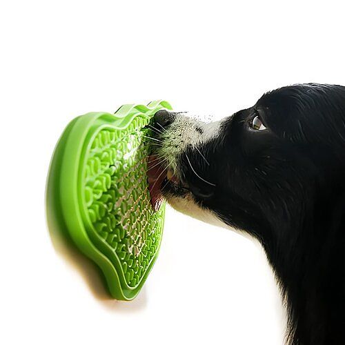 rsz_dog (1)_4