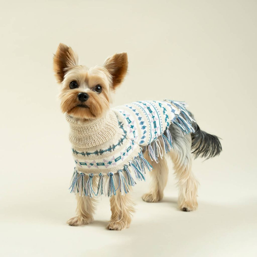 poncho-serendipity-3