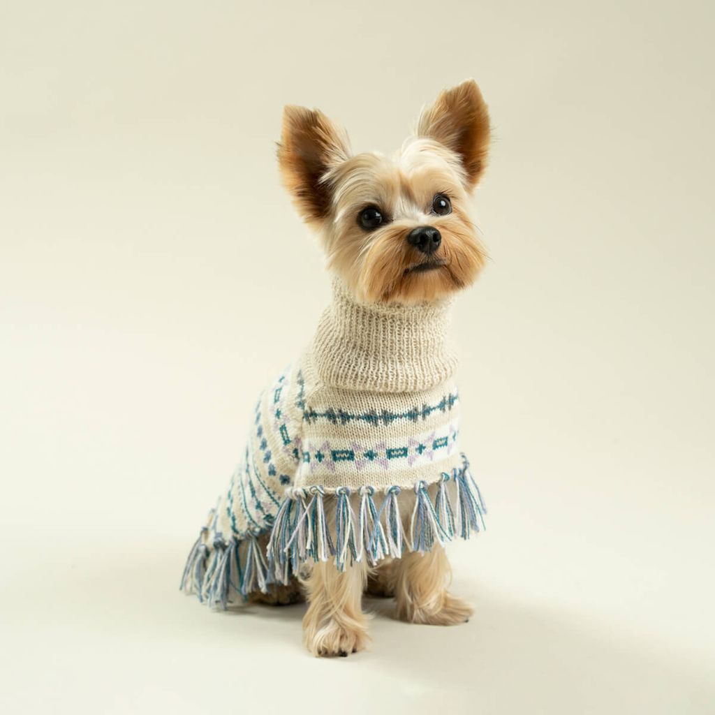 poncho-serendipity-Milo-5