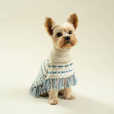 poncho-serendipity-Milo-5