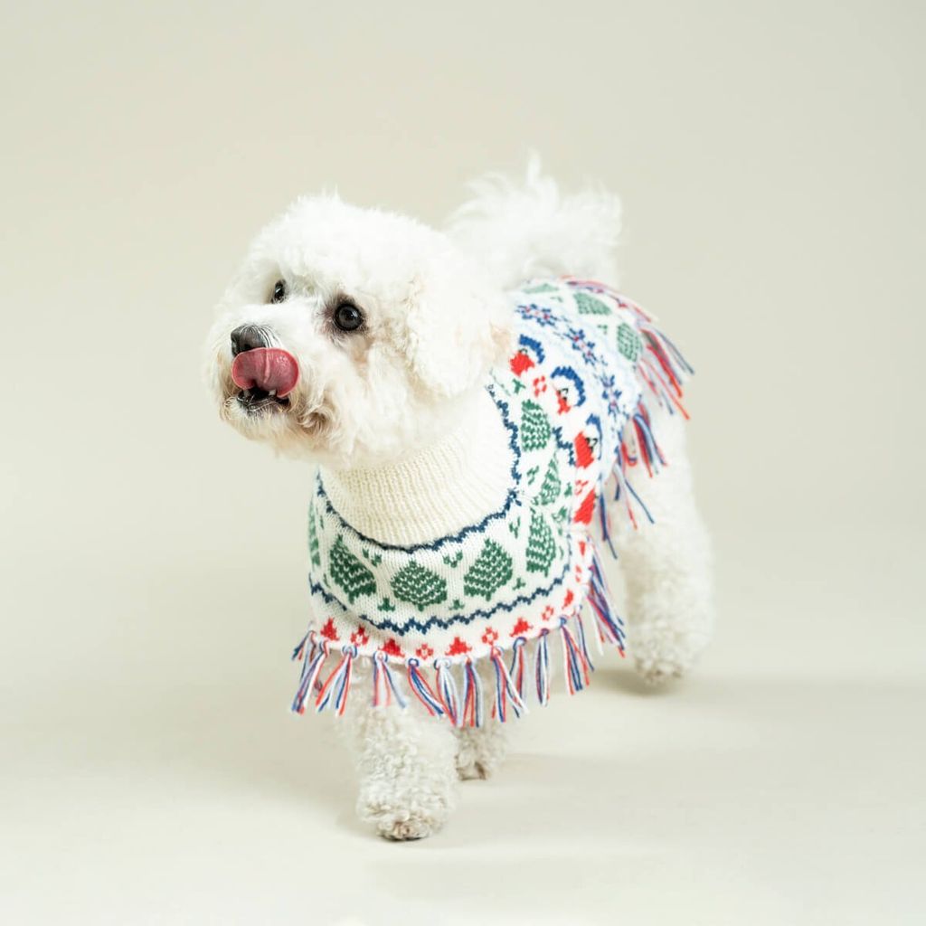 poncho-holidays-kila-4