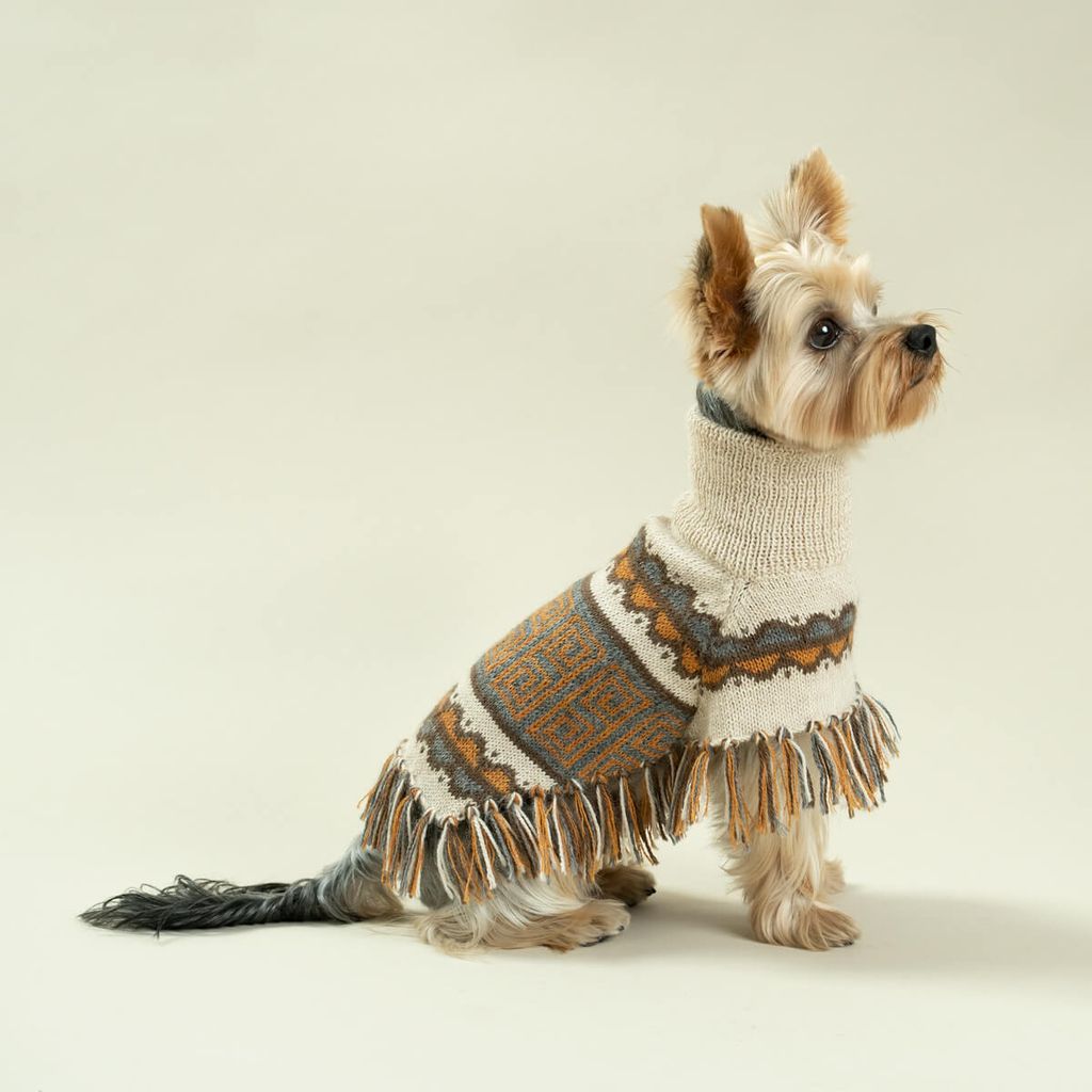 PONCHO-PISAC-MILO-2