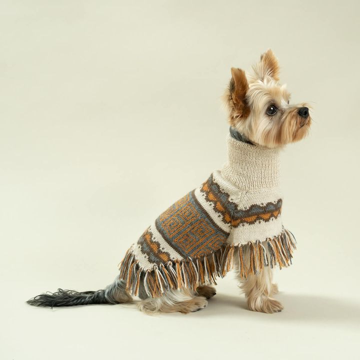 PONCHO-PISAC-MILO-2