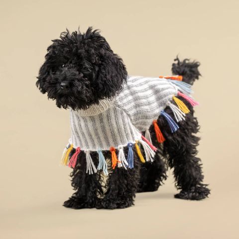 poncho-rainbow-fringe-3-version2