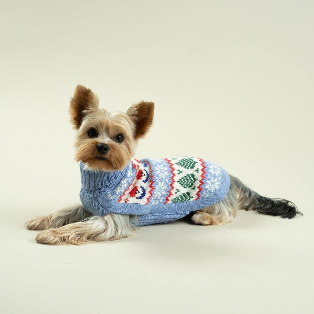 sweater-holidays-celeste-Milo-7