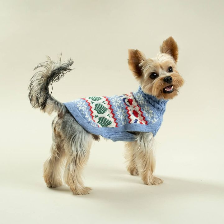 sweater-holidays-celeste-Milo-1