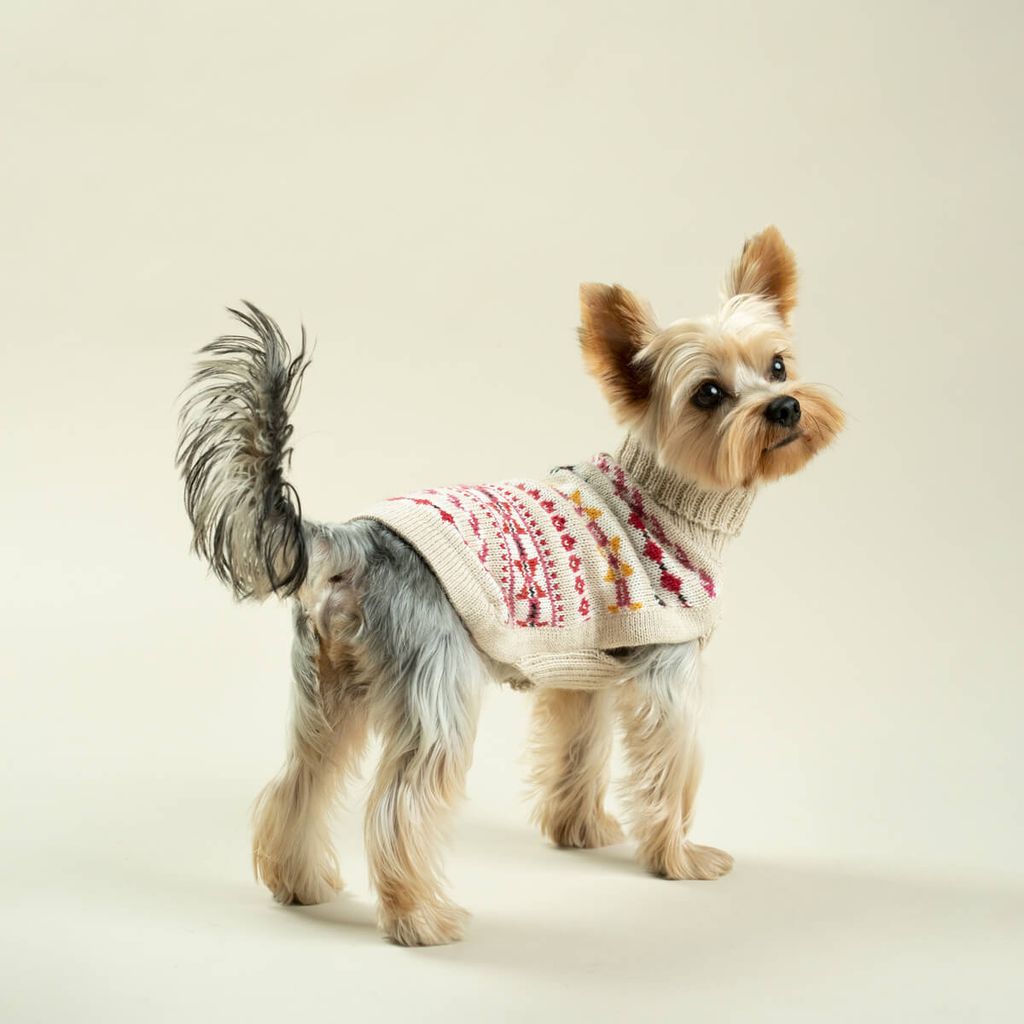 sweater-aurora-Milo-5