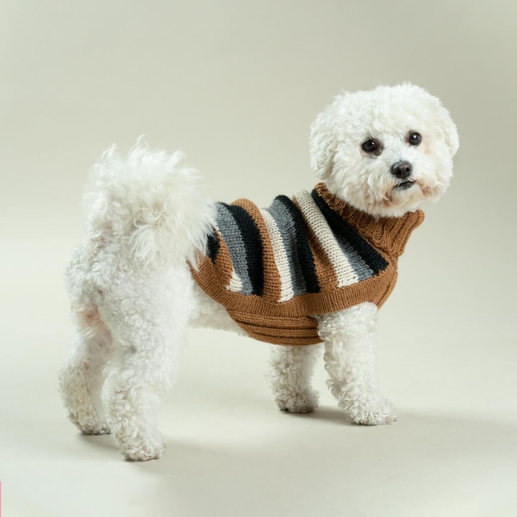 Native-Stripes-Alpaca-Dog-Sweater-3