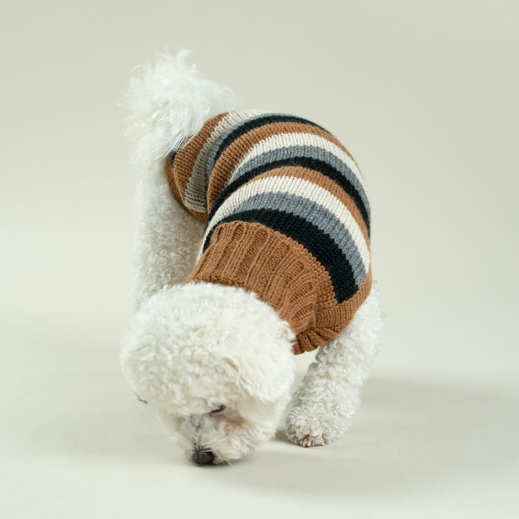 Native-Stripes-Alpaca-Dog-Sweater-2