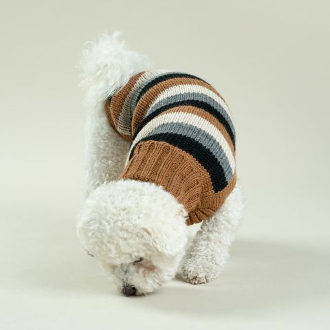 Native-Stripes-Alpaca-Dog-Sweater-2