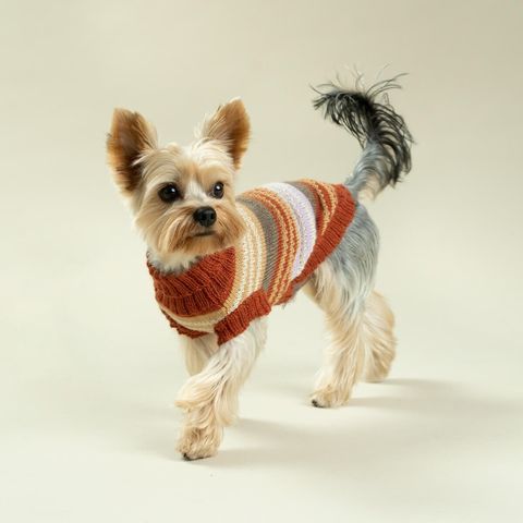 Vintage-Alpaca-Dog-Sweater-1