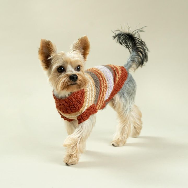 Vintage-Alpaca-Dog-Sweater-1