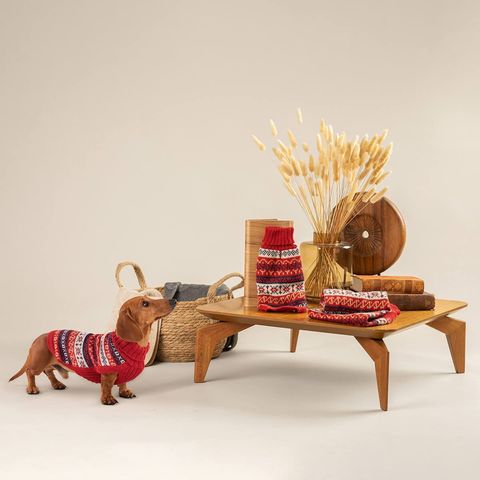 Composicion-heritage-con-perro