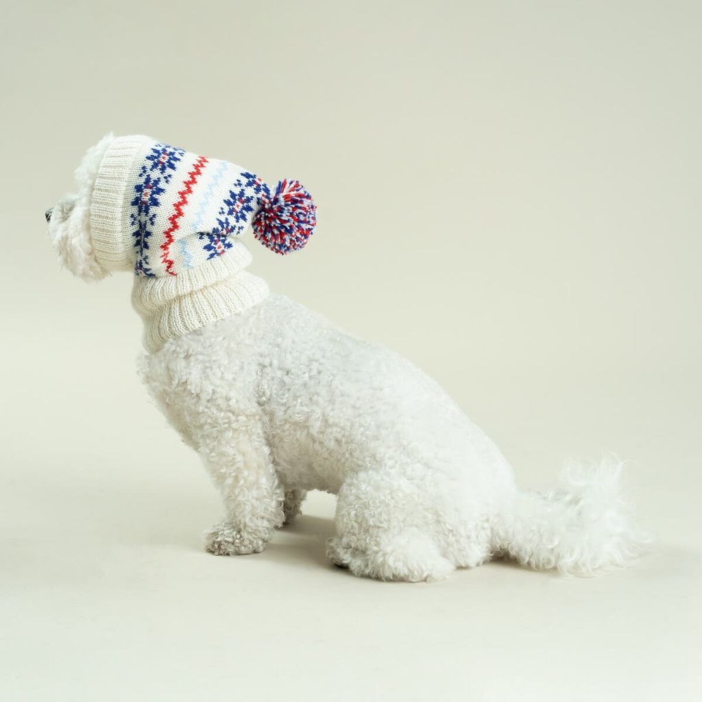 Holiday-Alpaca-Dog-Hat-2