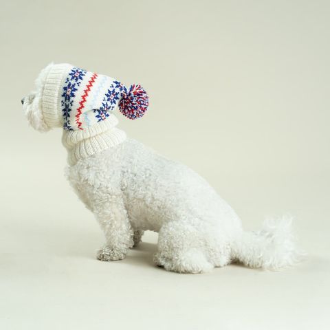 Holiday-Alpaca-Dog-Hat-2