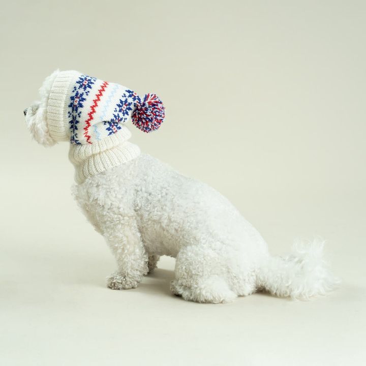 Holiday-Alpaca-Dog-Hat-2