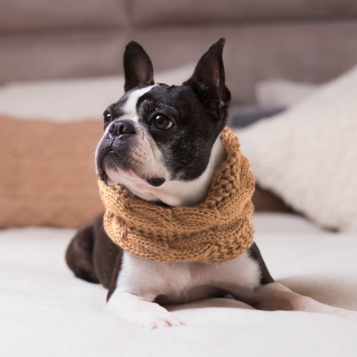 Chunky-Cable-Scarf-Camel-2