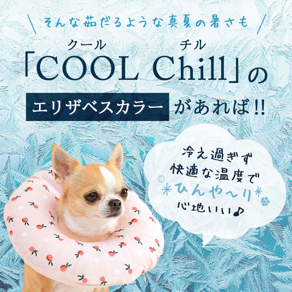 coolchille_p01