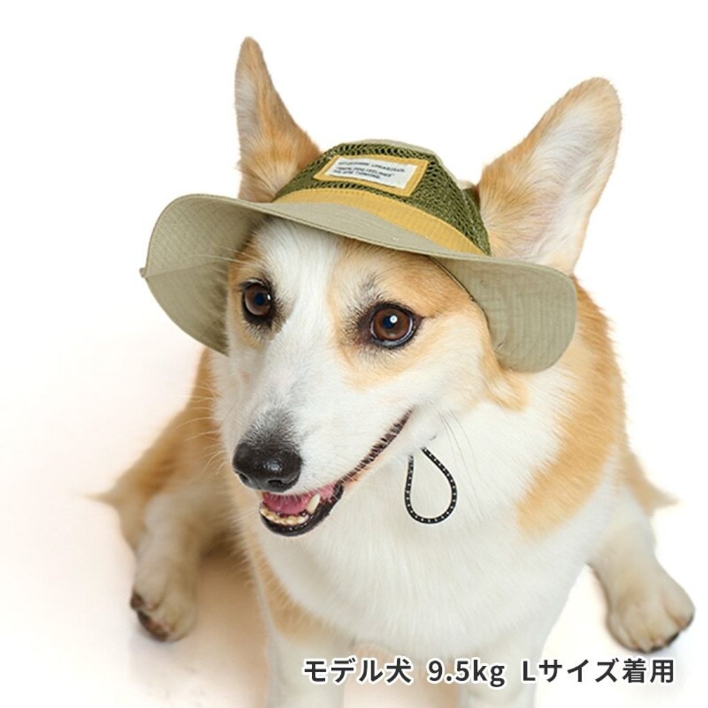 10_000000000900