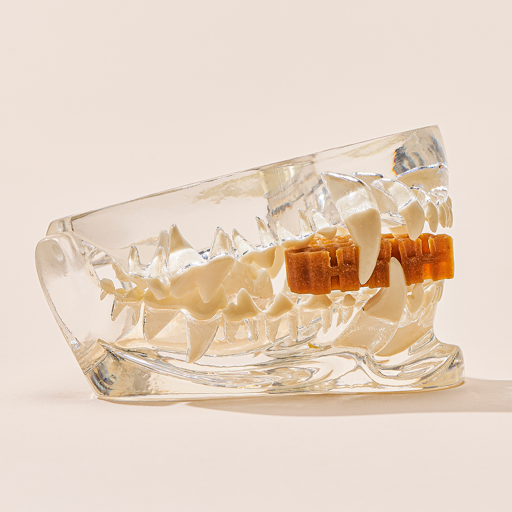 honeycomb chew_chicken 商品圖 04.png