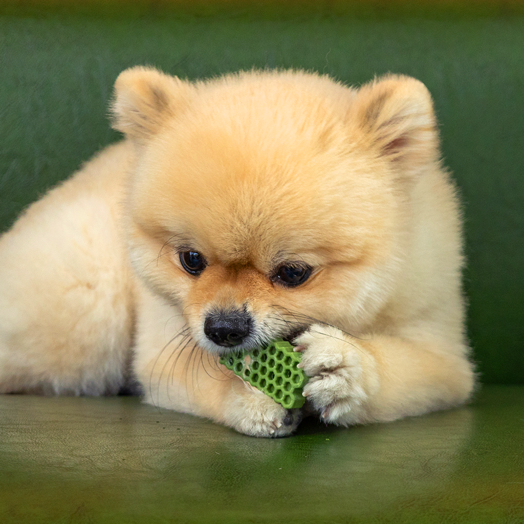honeycomb chew_veggie 商品圖 04
