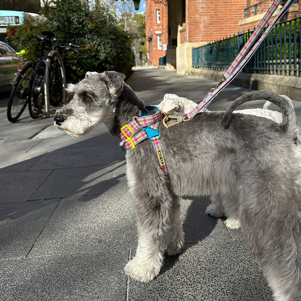 c6e85823e4262111f3743e4de1e73eb2