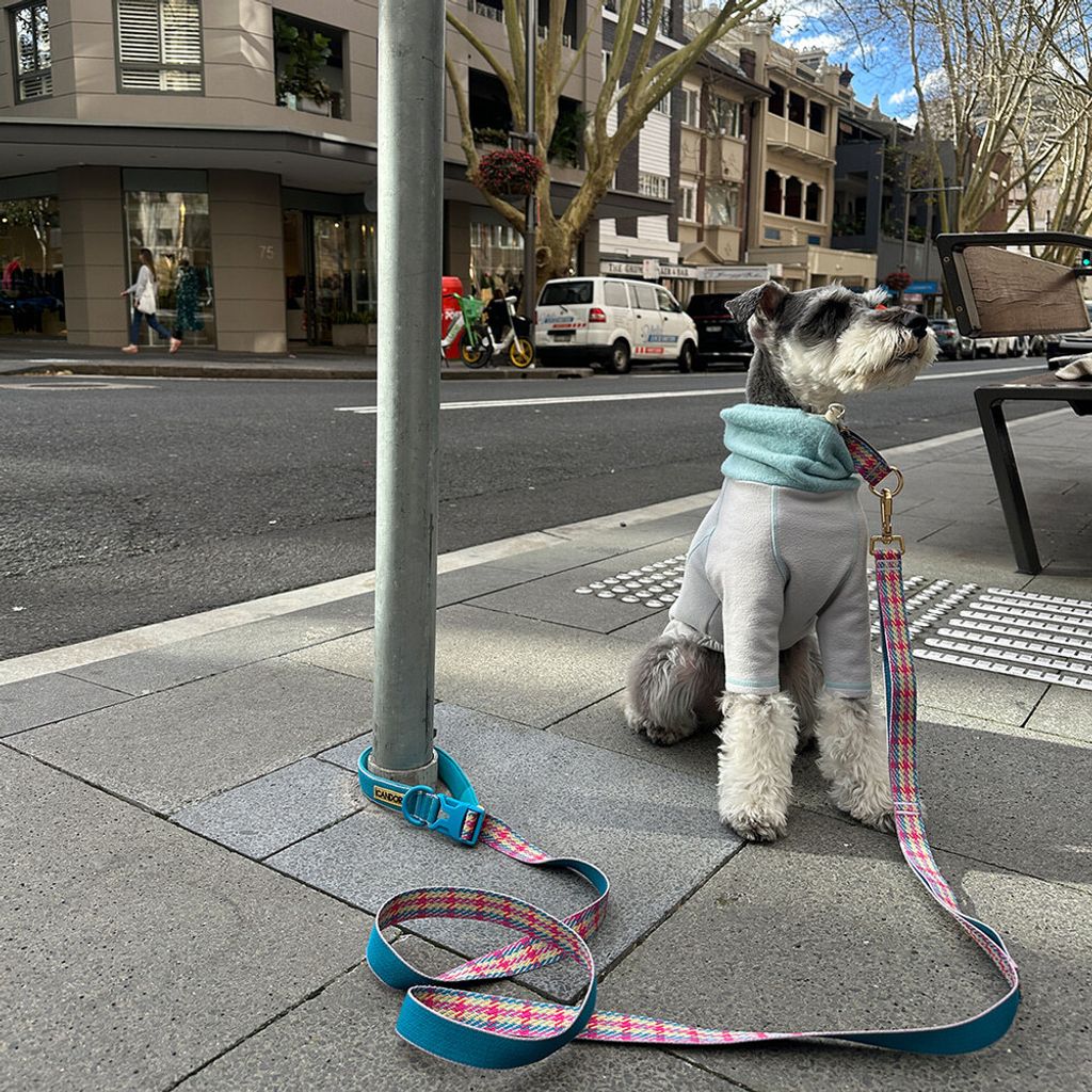 3ebaed6d9dfd424ac263e63ff920adf0