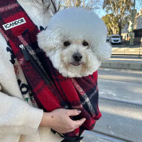 6ff9e55ab8c742d0197ed4f8cbc5a970