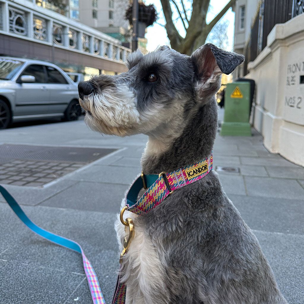 708720123f52b35f7f9a5ceeadd3ecaa