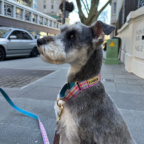 708720123f52b35f7f9a5ceeadd3ecaa