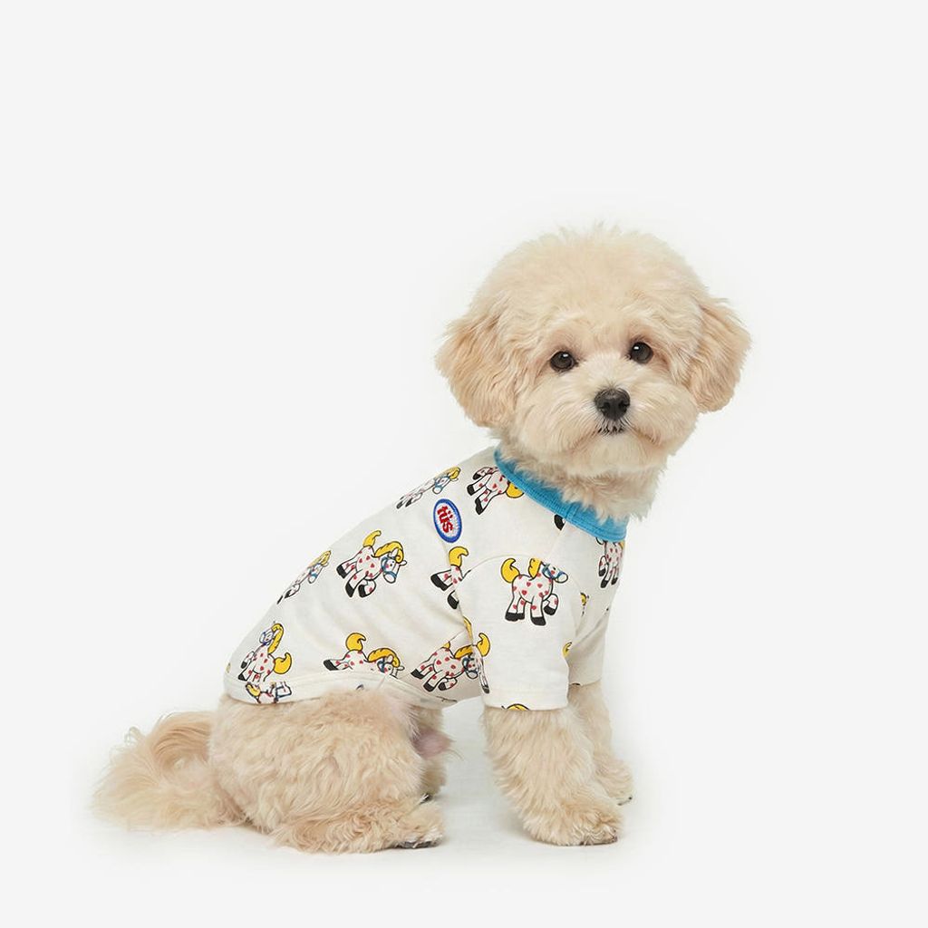 76248734810544411_1656815229