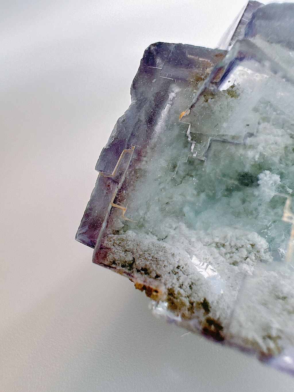 LINE_ALBUM_官網照片_230627_16